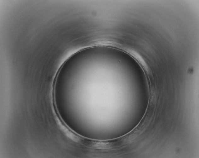 X0000094371439200711091528