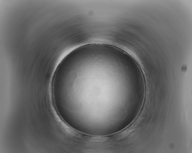 X0000094371440200711091528