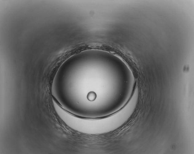 X0000094371445200711091527