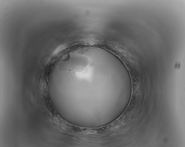 X0000094371446200711091527