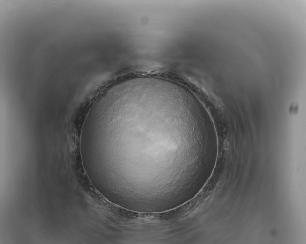 X0000094371447200711091527