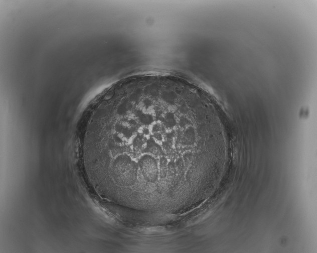 X0000094371448200711091527