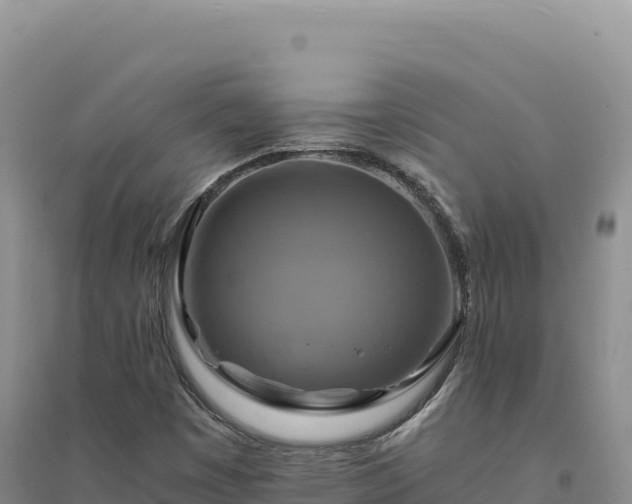 X0000094371449200711091527