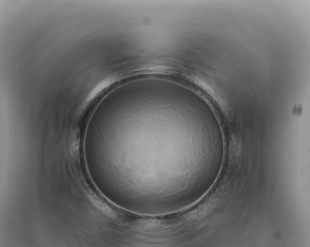 X0000094371450200711091527