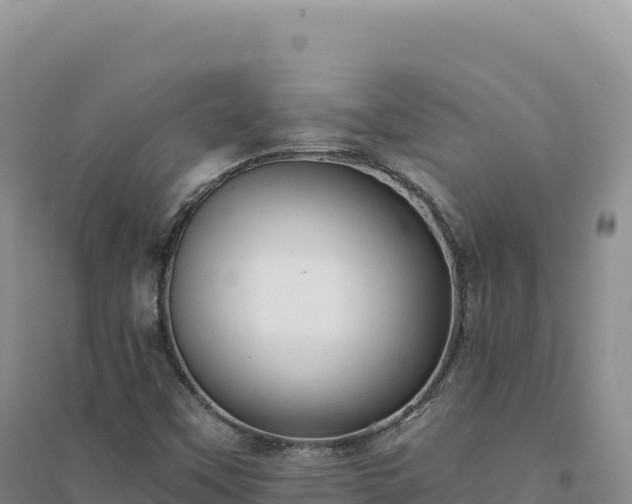 X0000094371451200711091527