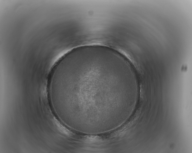 X0000094371452200711091527