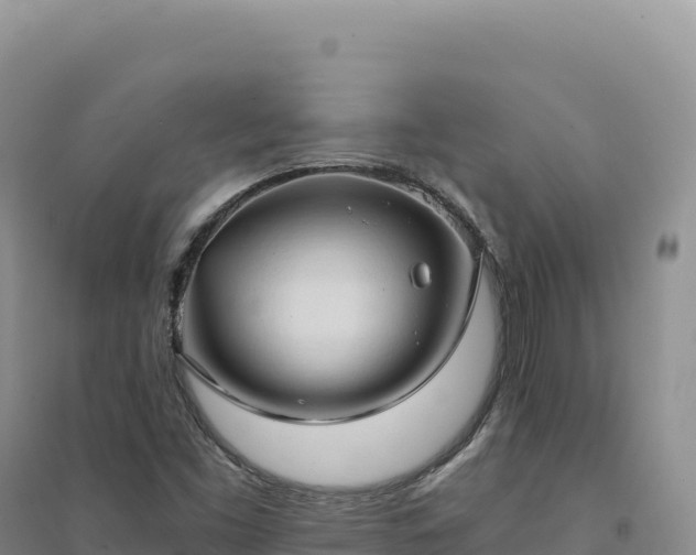 X0000094371453200711091527