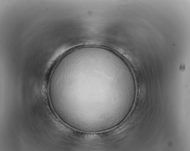 X0000094371454200711091526