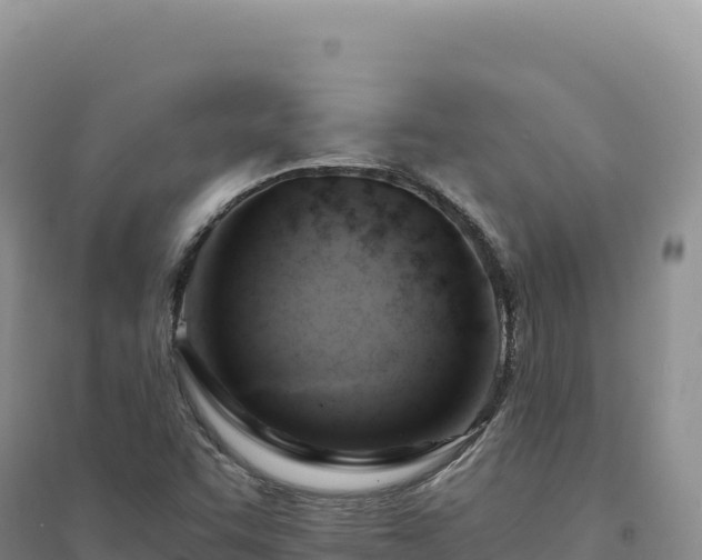 X0000094371455200711091526
