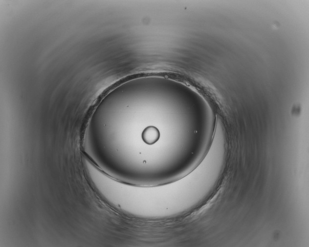 X0000094371457200711091526