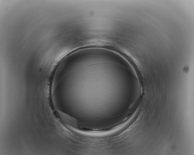 X0000094371459200711091526