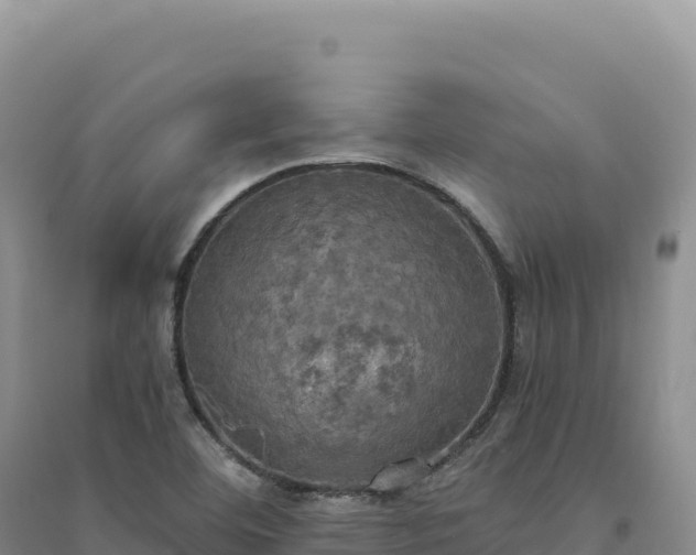 X0000094371460200711091526