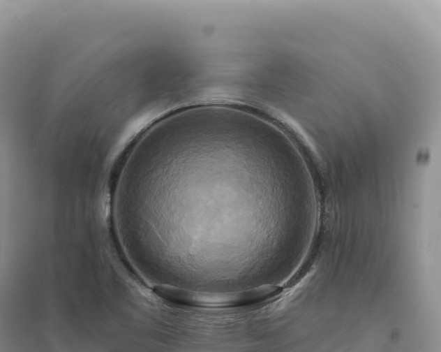 X0000094371461200711091526