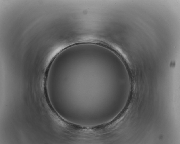 X0000094371463200711091526
