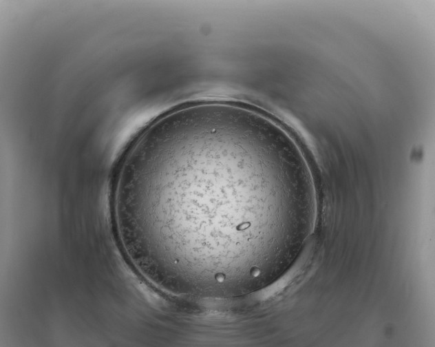 X0000094371464200711091526