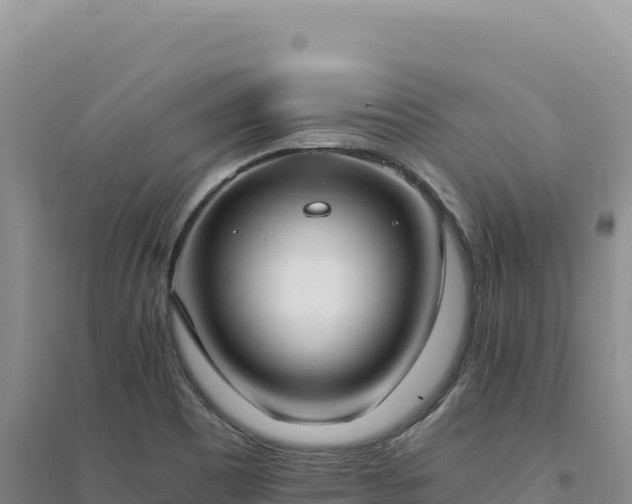 X0000094371465200711091526