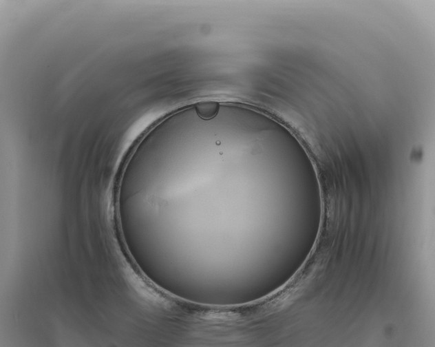 X0000094371466200711091526