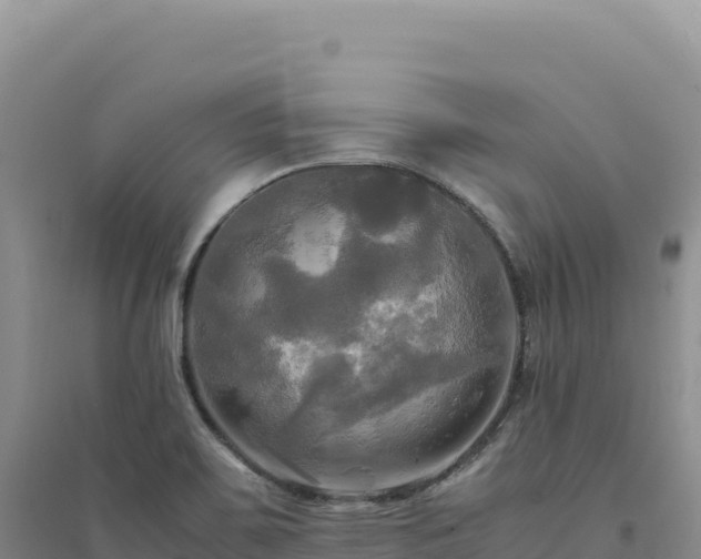 X0000094371467200711091526