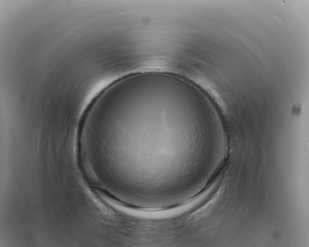 X0000094371469200711091526