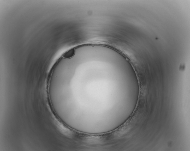 X0000094371470200711091526