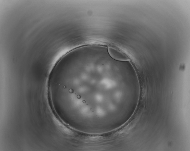 X0000094371471200711091526