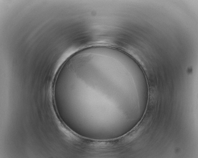 X0000094371474200711091526
