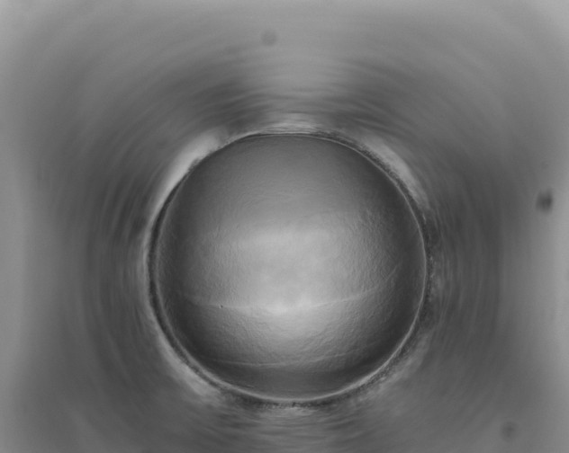 X0000094371475200711091526