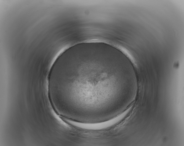 X0000094371476200711091526