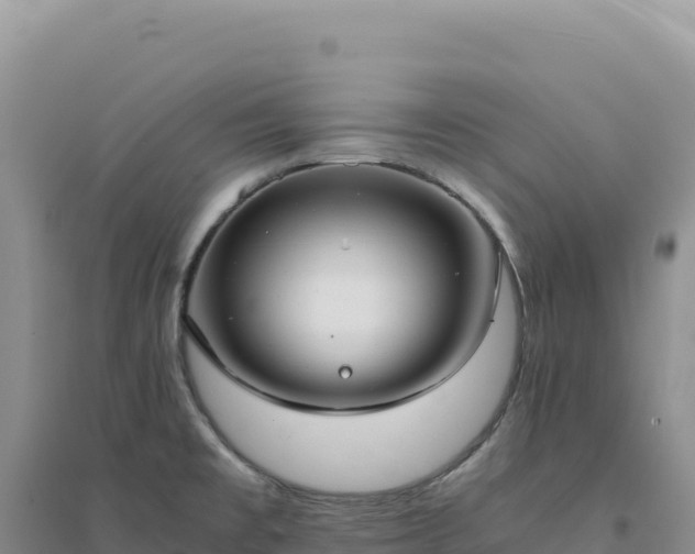 X0000094371477200711091526