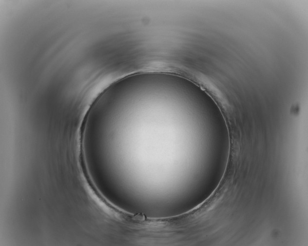 X0000094371479200711091526