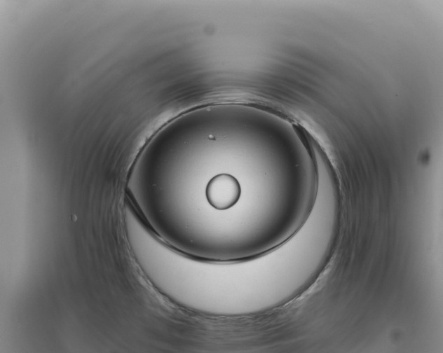 X0000094371481200711091526