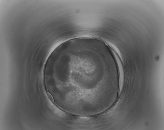 X0000094371483200711091526