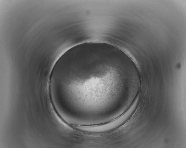 X0000094371484200711091526