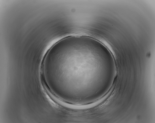 X0000094371485200711091526