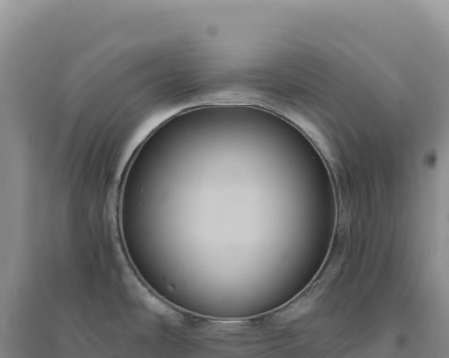 X0000094371486200711091526