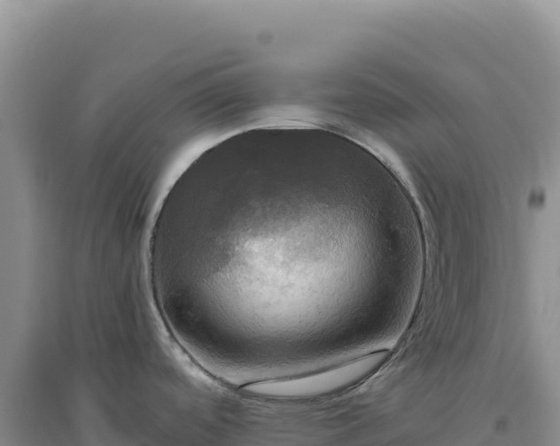 X0000094371488200711091526