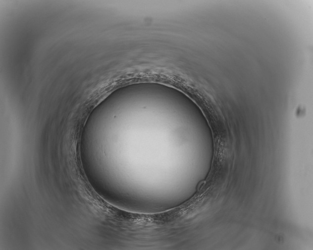 X0000094371489200711091525