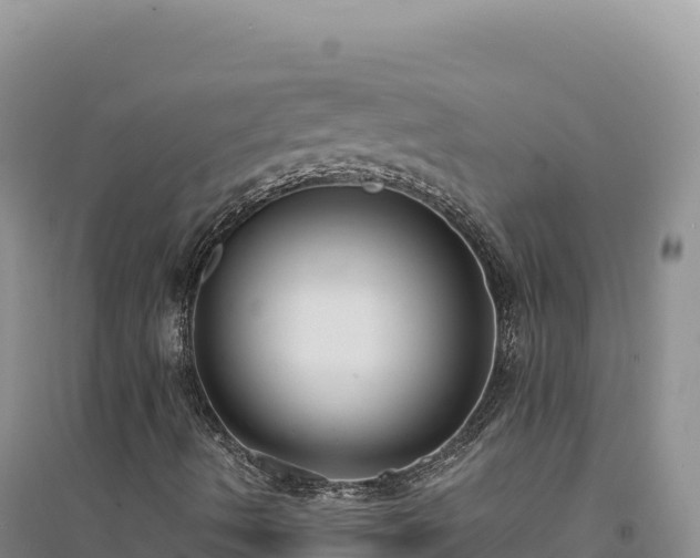 X0000094371490200711091525