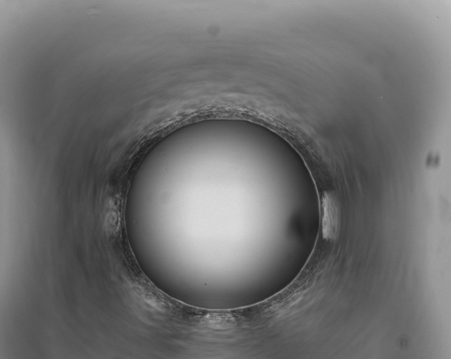 X0000094371491200711091525