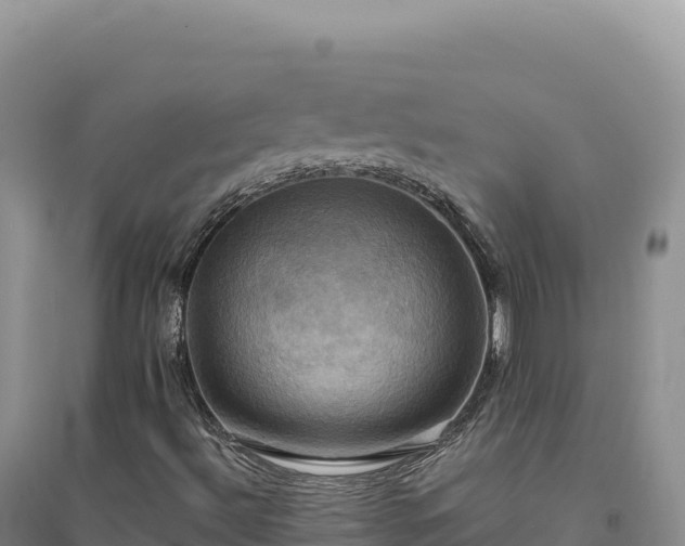 X0000094371492200711091525