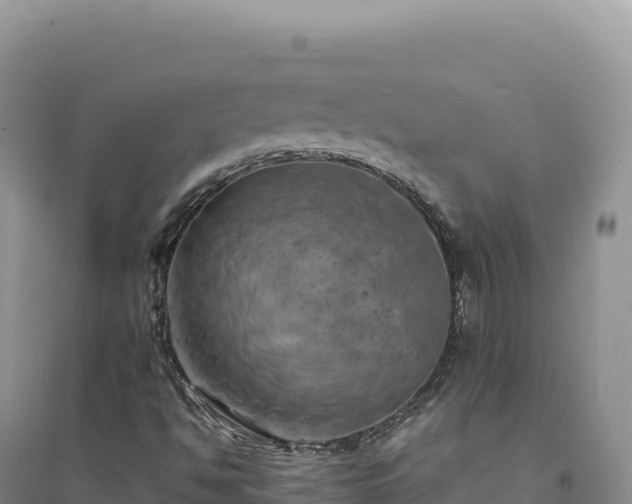 X0000094371494200711091525