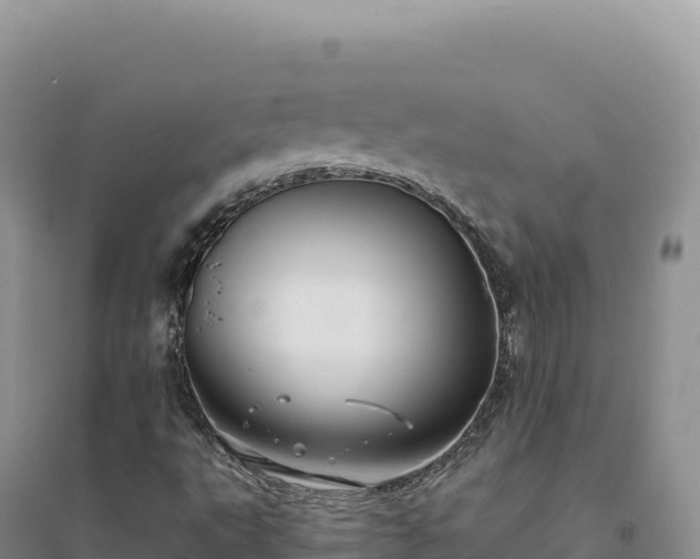 X0000094371495200711091525