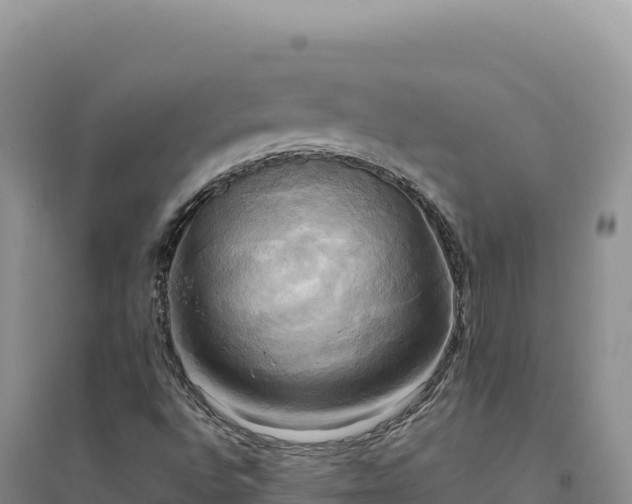 X0000094371496200711091525
