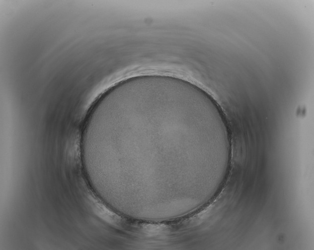 X0000094371498200711091525