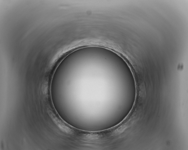 X0000094371499200711091525