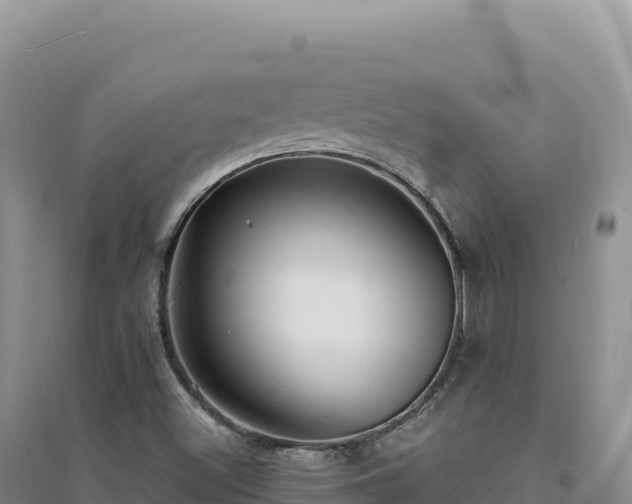 X0000094371500200711091525