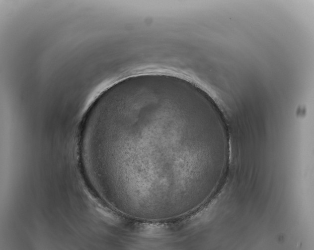 X0000094371501200711091525