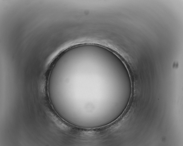 X0000094371502200711091525
