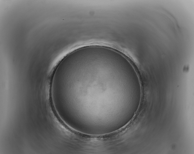 X0000094371504200711091525