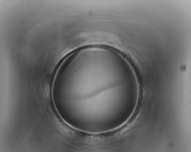 X0000094371505200711091525